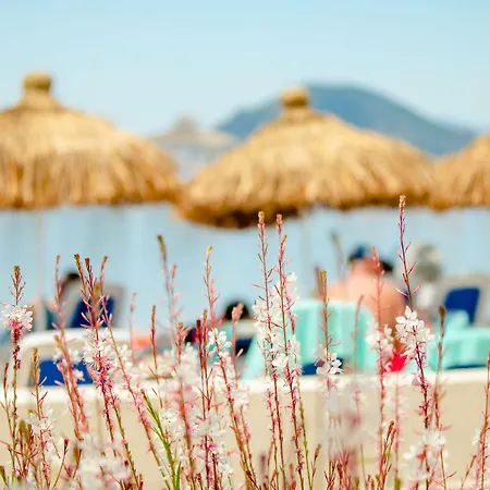 La Blanche & Complex 5*